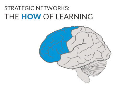 Drawing of a brain seen from the side, with the strategic networks at the front of the brain shaded blue.